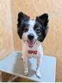 ラカットゾーン(la kutt zone)&nbsp;愛犬です！