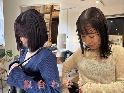 トリスター(TREASTAR)の写真