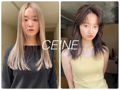 セーヌ ロク(ceine loq)の写真