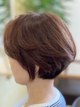 リトルクラン(little clan) まるみショート