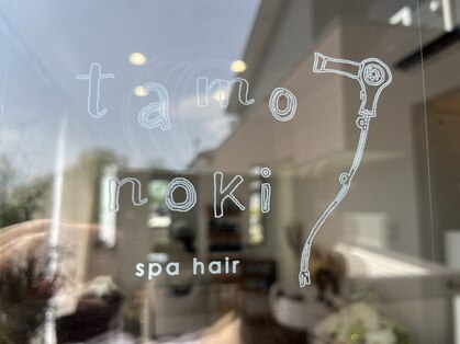 タモノキ(tamonoki)の写真