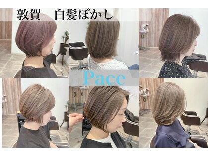 パーチェ(Pace)の写真
