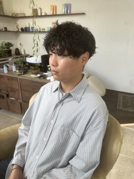 シラス(SiLasu) 波巻きマッシュ