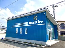 バッドナイス(BadNice)の雰囲気（アットホームで落ち着いた空間ですー。）