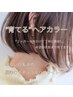 【“育てる”明るい白髪染め】馴染むハイライト込み +ヘアエステ￥8,980～