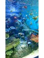 ボタン ヘア サロン(BOTTAN hair salon)&nbsp;品川水族館やっぱり、水族館はいいですねえ♪