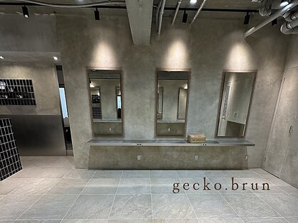ジェコ ブラン(gecko. brun)の写真