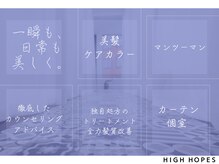 ハイホープス(High Hopes)