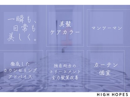 ハイホープス(High Hopes)の写真