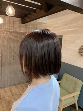 スカイ(SKY) 【ダブルカラー】バイオレットカラー