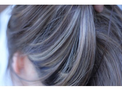 モグ(mog.)の写真