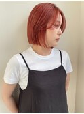 【杉谷】guest snap