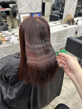 ランズ(LANDS) 《LANDS》ハイライト/デザインカラー/ワインレッド/暖色