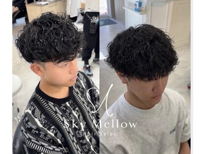 スカイメロウ(Sky Mellow)の写真