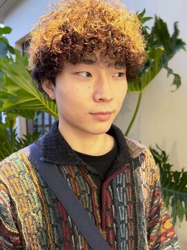ヴヴ(Bub) men's perm / くるくるプードルパーマ