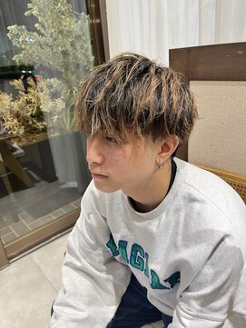 コスタエストオブリシェール(COSTA EST of RICHAIR) ソフトマッシュ