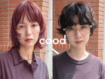 クード(cood)の写真