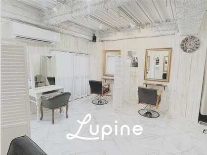 ルピナス(Lupine.)の写真