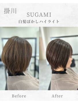 スガミ(SUGAMI) 白髪ぼかし/脱白髪染め