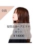 【業界最高濃度】髪質改善ヘアエステ＋カット￥14000