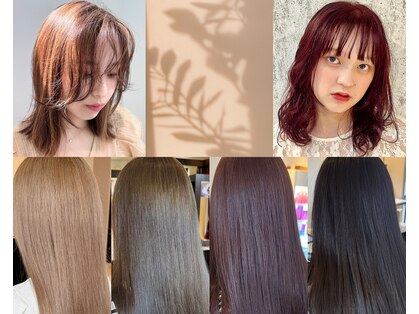 アンビ(ambi)の写真