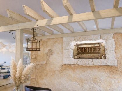 アツリー(A TREE)の写真