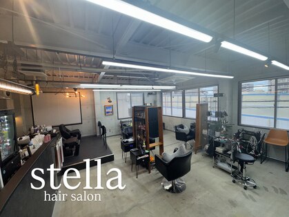 ステラ(stella)の写真