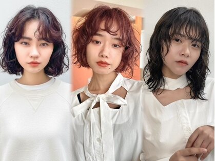 ノーム(norm)の写真