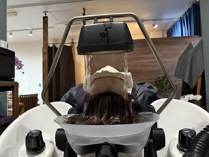 ロイ(Roy)の写真