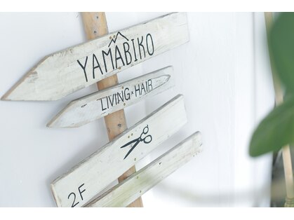 ヤマビコ(YAMABIKO)の写真