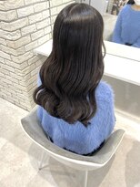 ディティカ ティア(Dityca tia)&nbsp;韓国巻き