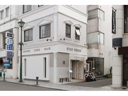 ステイフレッシュ 大倉山(STAY FRESH)の写真