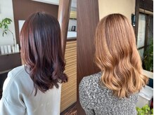 「綺麗」と「癒し」を、毎月無理なくあなたの日常に