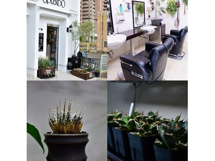 メンズヘアー スプレンドの写真