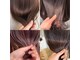 キオウ(kiow)の写真