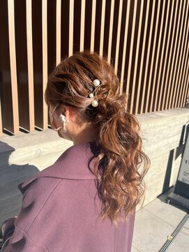 レッドネオ エビス(Redneo ebisu) ローポニー_240