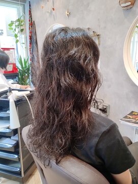 リスボン(lisbon) パーマ