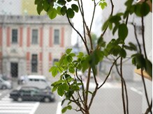 エヌ 烏丸(enu)の雰囲気（窓からは烏丸通を大きく望むことができます。）