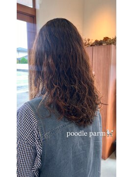 プードルパーマ