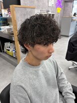 段 波巻きスパイラルウルフ