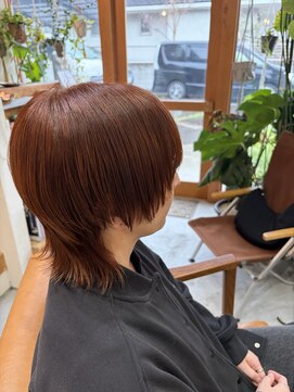 ララ(Lala) オレンジウルフ