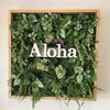 アロハ(Aloha)のお店ロゴ