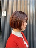 アプリコットシアーボブ