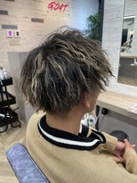 ゴートヘアタカツキ(GOAT hair)&nbsp;【 ツイストスパイラル★ 】ハイライト付き