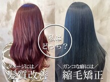 美髪になりたい方必読！ polum paprikaが人気の理由TOP１０！リピしたくなる美髪施術のこだわりご紹介♪