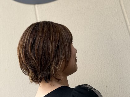 ロイ(Roy)の写真
