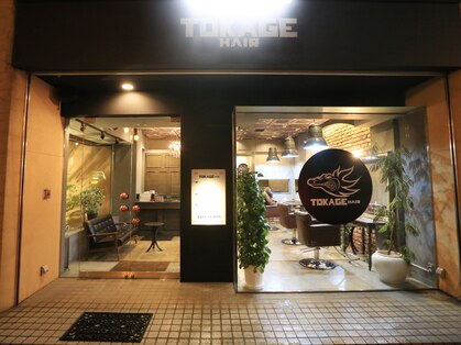 トカゲ ヘアー(TOKAGE HAIR)の写真