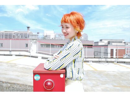 トイ(Toy)の写真