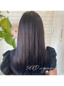 シード(SEED) グレージュ