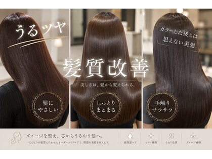 ソレイユ(Soleil)の写真